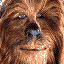 Star Wars Avatar Datei