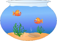 Aquarium Gif Datei