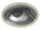 Augen Gif Datei