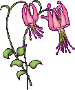 Blumen Gif Datei