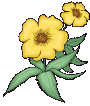 Blumen Gif Datei