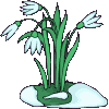 Blumen Gif Datei