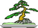 Bonsai Gif Datei