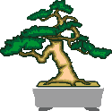 Bonsai Gif Datei
