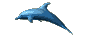 Delfine Gif Datei