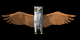 Eulen Gif Datei