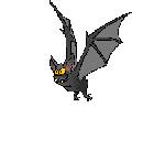 Fledermäuse Gif Datei