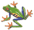 Frösche Gif Datei