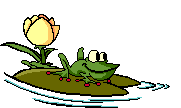 Frösche Gif Datei