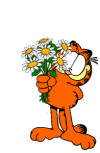 Garfield Gif Datei