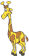Giraffen Gif Datei