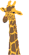 Giraffen Gif Datei