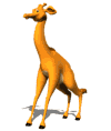 Giraffen Gif Datei