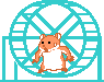 Hamster Gif Datei