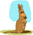 Kängurus Gif Datei