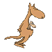 Kängurus Gif Datei