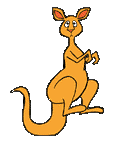 Kängurus Gif Datei
