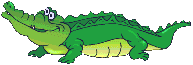 Krokodile Gif Datei