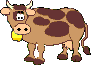 Kühe Gif Datei