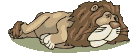 Löwen Gif Datei