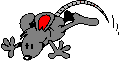 Mäuse Gif Datei