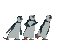 Pinguine Gif Datei