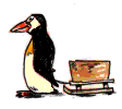 Pinguine Gif Datei
