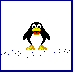Pinguine Gif Datei