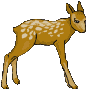 Rehe Gif Datei