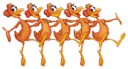 Roadrunner Gif Datei