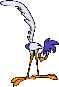 Roadrunner Gif Datei