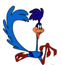 Roadrunner Gif Datei