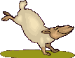 Schafe Gif Datei