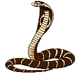 Schlangen Gif Datei