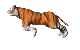 Tiger Gif Datei