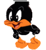 Tiny Toon Gif Datei