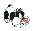 Tiny Toon Gif Datei