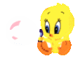 Tweety Gif Datei