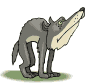 Wölfe Gif Datei